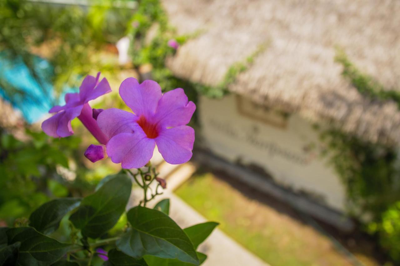 Hotel Villas Mariposas Atlixco Extérieur photo