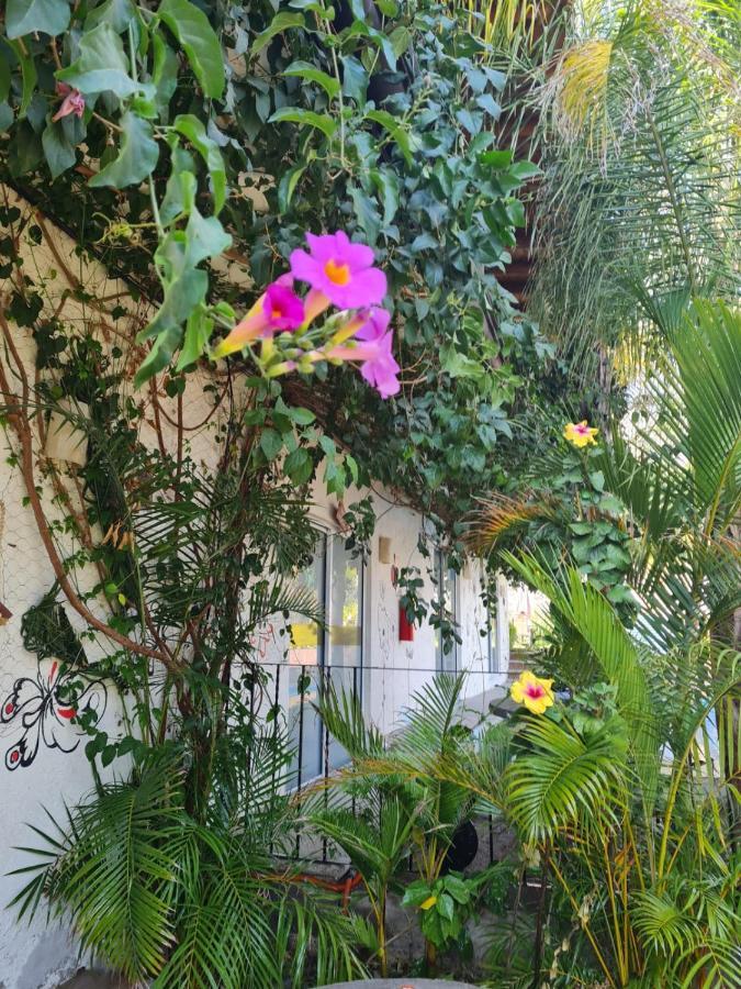 Hotel Villas Mariposas Atlixco Extérieur photo