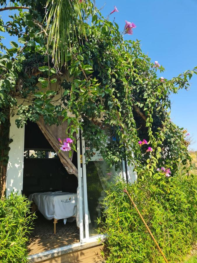 Hotel Villas Mariposas Atlixco Extérieur photo