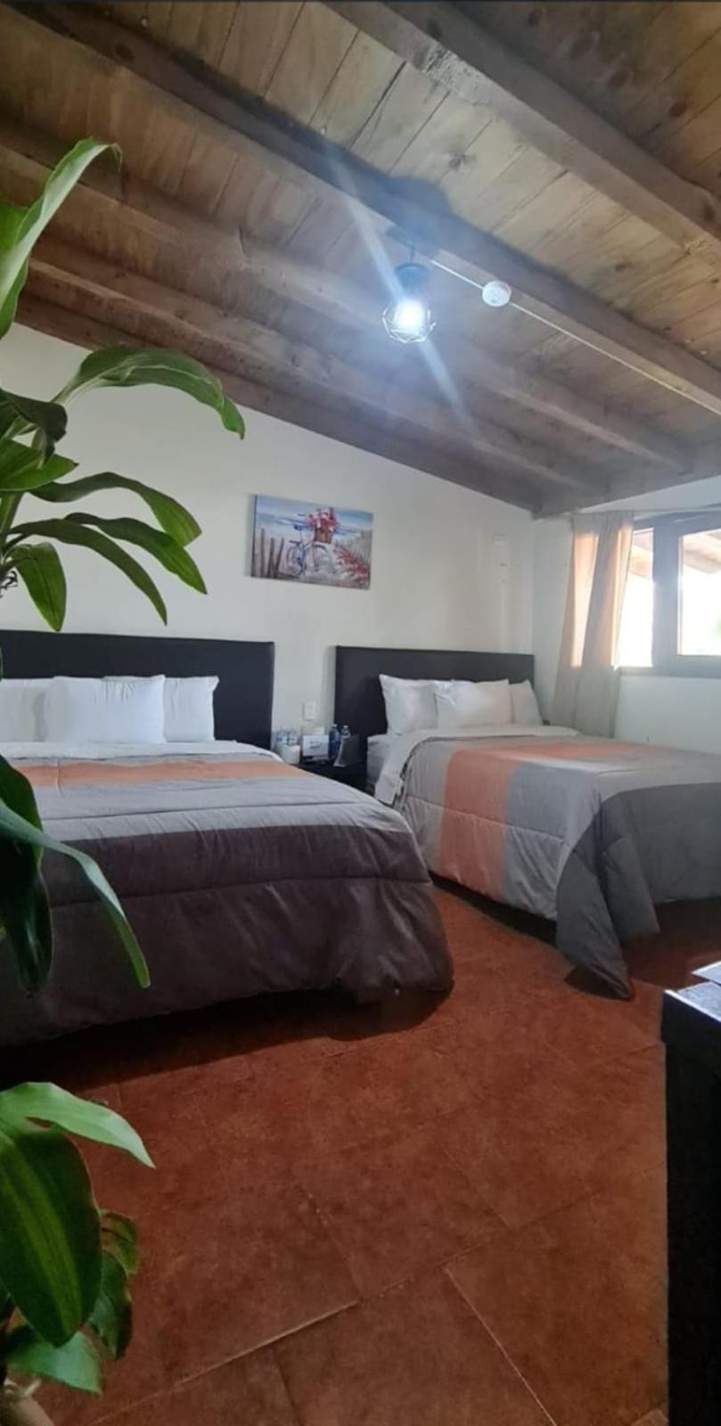 Hotel Villas Mariposas Atlixco Extérieur photo